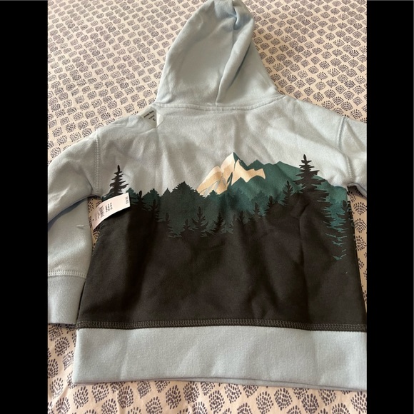 Baby Gap Mountain Fleece Hoodie NWT - Picture 4 of 7